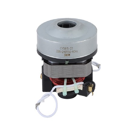 氣球充氣泵電機批發(fā) 家用微型直流電動機 550W3A低噪音微型電機